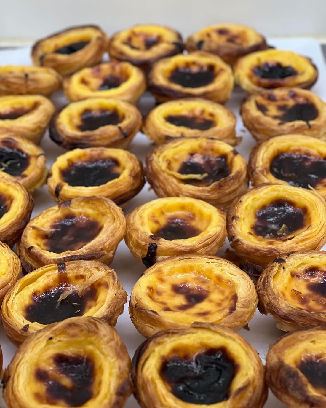 Pastéis de nata, saídos do forno